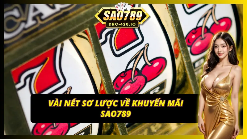 Một cái nhìn tổng thể về chương trình ưu đãi của Sao789