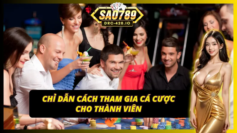 Miễn trừ trách nhiệm SAO789 hỗ trợ các thành viên 